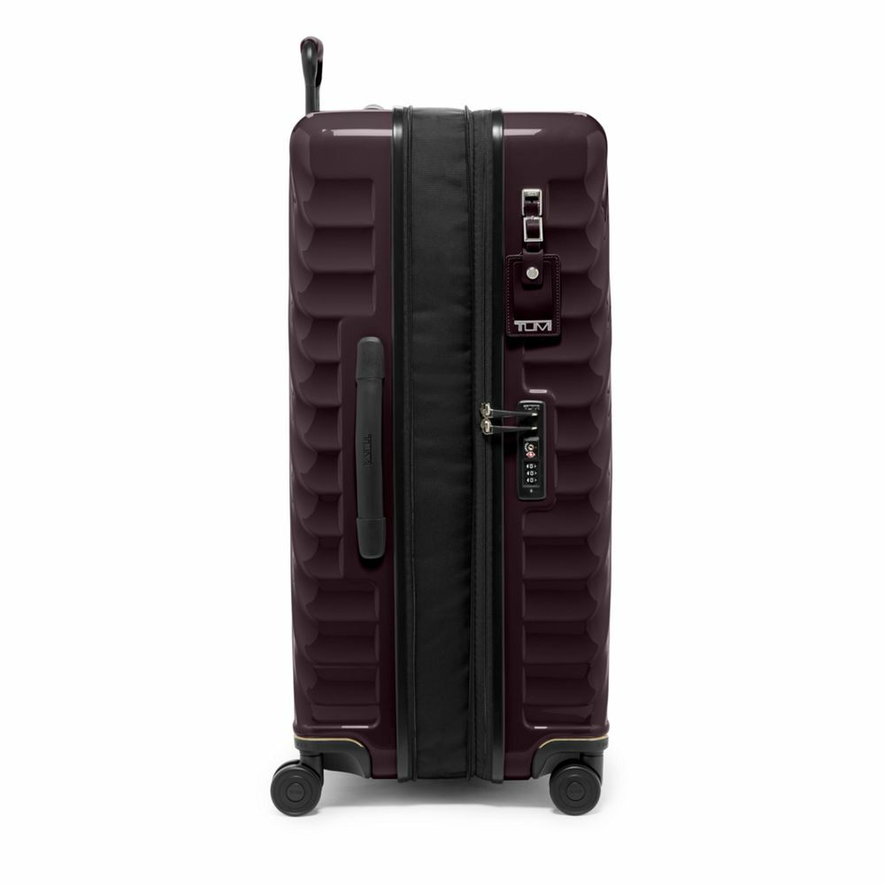 19 Degree Extended Trip Expandable 4 Wheels Packing Case Deep Plum